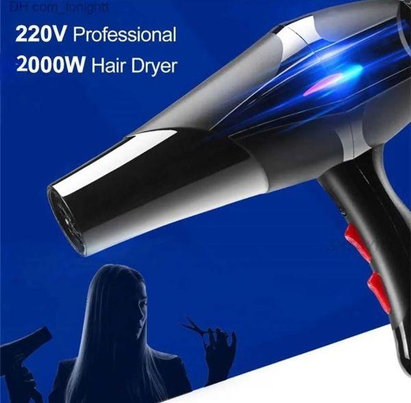 Professional Hair Dryer